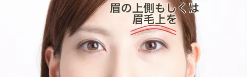 眉毛に沿って
