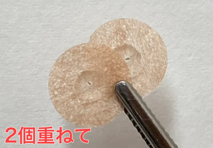 2枚のパイオネックス