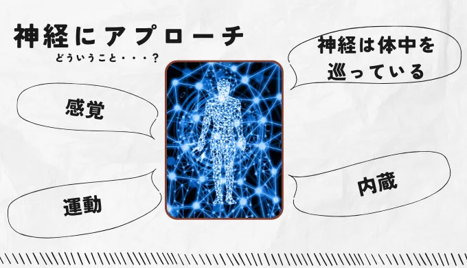 神経にアプローチする整体