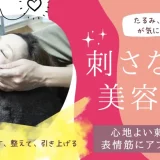 刺さない美容鍼