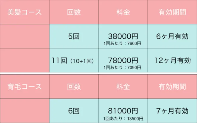美髪育毛鍼料金